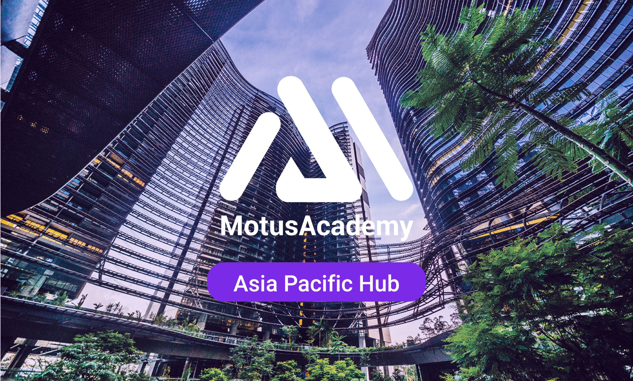 motus-academy-apac-hub-post-scaled